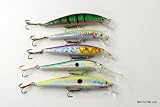 Lot of 5 Color Themed Fishing Lures for Northern Pike, Largemouth Bass, Walleye, and Salmon
