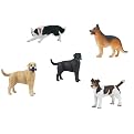 Best In Show Collection
