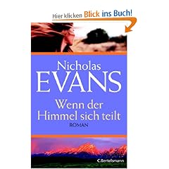 Wenn der Himmel sich teilt: Roman
