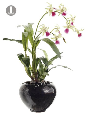 2′ Potted Artificial Green & Fuschia Spider Silk Oncidium Orchid Plant