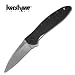 Kershaw Leek Knife with G10 Handle