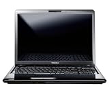 Toshiba Satellite P300-1GL 17 inch Laptop, Intel Core2 Duo T6400 2.0 GHz, 4 GB RAM, 320 GB HDD, Vista Home Premium