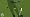 Tiger Woods PGA Tour 11