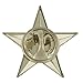 PinMart's Military 3D 5 Point Silver Star Lapel Pin