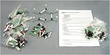 Buy Hubbard Scientific R-MOD2 Organic Chemistry Molecular Models Kit by Hubbard Scientific