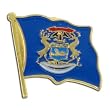 Michigan Flag Lapel Pin