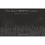 The Black Book of Colors by Menena Cottin