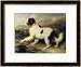 Newfoundland Dog Called Lion, 1824 Framed Art Poster Print by Edwin Henry Landseer, 33x27