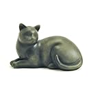 Near &amp; Dear Pet Memorials Cozy Cat Resin Cremation Urn, 25 Cubic Inch, Sable