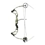 Precision Shooting Equipment Stinger Compound Bow (29-Inch/60-Pounds, Right Hand)