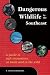 Dangerous Wildlife in the Southeast: A Guide to Safe Encounters At Home and in the Wild