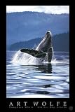 Wolfe Humpback Whale Kunstdruck Wale