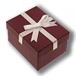 Gift Box for Pendant Earrings Burgandy White Satin Bow