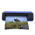 Pandigital Photo & Negative Scanner / Converter with 512MB SD Card - PANSCN05