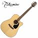 Takamine G340SC Acoustic Guitar