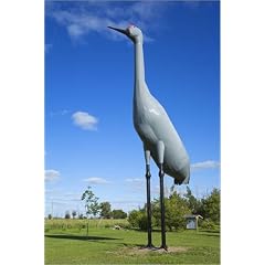 Poster 40 x 60 cm - "World's largest Sandhill Crane, Steele City, Kidder County." von Richard Cummins / Lonely Planet Images - auch in anderen Gr��en und als Leinwandbild erh�ltlich