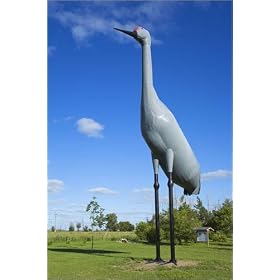 photographie World's largest Sandhill Crane, Steele City, Kidder County. est disperible en (L x H...