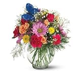 Teleflora's Butterfly & Blossoms Vase