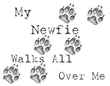 My Newfie Walks All Over Me Apron