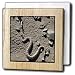 Kike Calvo Animals - Sidewinder rattlesnake, Crotalus cerastes - Tile Napkin Holders