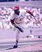 Bob Gibson St. Louis Cardinals 8x10 Photo