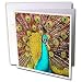 Birds - Colorful Peacock - Greeting Cards-12 Greeting Cards with envelopes