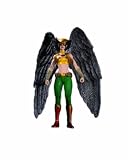 Hawkgirl - DC Universe Brightest Day Series 1 Action FigureIMAGE