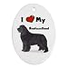 I Love My Newfoundland Ornament (Oval)