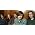 Thumbnail image of Idlewild