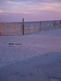 IMAGE OF Dune Erosion Fence on the Beach in the Outer Banks Premium Photographic Poster Print by Stacy Gold, 30x40