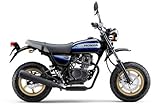 HONDA　APE100-タイプＤ　HC13　ブルー　100cc　国内モデル・新車乗出し価格　2013年