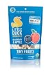 Little Duck Organics Tiny Fruit, Blueberry & Apple, 1-Ounce Pouches (Pack of 9)