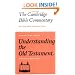 Understanding the Old Testament (Cambridge Bible Commentaries on the Old Testament)