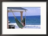 Woman Reading on a Hammock, Cayman Framed Photographic Poster Print by Barry Winiker, 21x17 Woman Reading on a Hammock, Cayman Framed Photographic Poster Print by Barry Winiker, 21x17