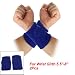 Wolf Embroidery Blue Terry Sports Wristband Support Pair