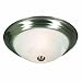 Golden Lighting Multi-Family Flush Mount