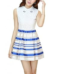 Organza Lace Sleeveless Striped Print Floral Print  Dress