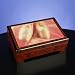 Ballet Slippers - Musical Jewelry Box