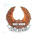 Harley Davidson~ Harley Davidson Sticker~ 