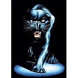 Black Panther (Illustrated) Art Print Poster
