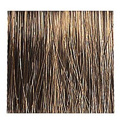 Clairol Premium Creme Permanent Color Dark Gold-Neutral Blonde 6Gn (Haarfarbe) Preisvergleich