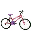 Review Universal Cycles  / 12