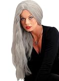 24 Traditional Straight Grey Adult Costume Wig