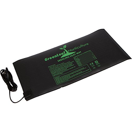 Top Best 5 heating pad plants for sale 2016 BOOMSbeat