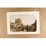 MEN BY HORSE-DRAWN WAGONS FULL OF CHRISTMAS TREES West St., New York