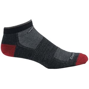 Men's Darn Tough Vermont No Show Mesh Socks GRAY L