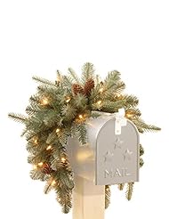 Home: National Tree "Feel-Real" Frosted Artic Spruce Mailbox Swag with Cones and 35 Warm White Battery Operated LED Lights with Timer, 3-Feet - National Tree