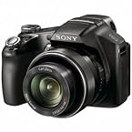 Sony Cyber-shot DSC-H100/BC 16.1MP Digital Camera with 21x Optical Zoom (Black)