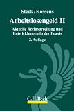 Arbeitslosengeld II: Aktuelle Rechtsprechung und Entwicklungen in der Praxis