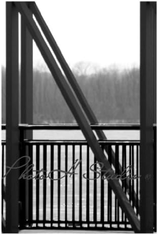 Letter N Photograph Alphabet Art Print 4"x6" by Phot Oh Studio N-8